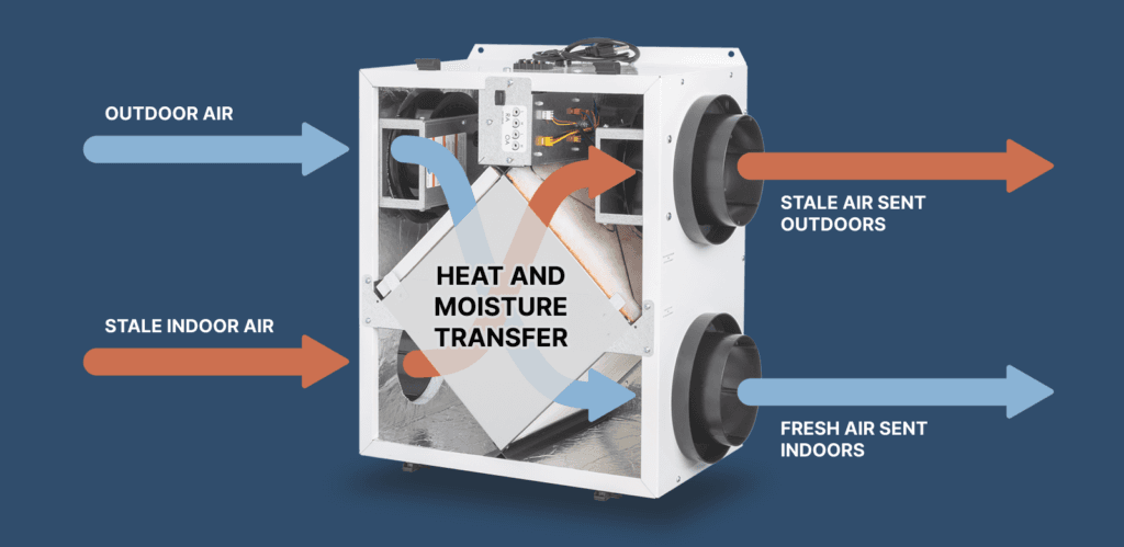 Infographic showing how an Energy Recovery Ventilator (ERV) transfers stale air outdoors and brings fresh outdoor air indoors, while transferring heat and moisture.